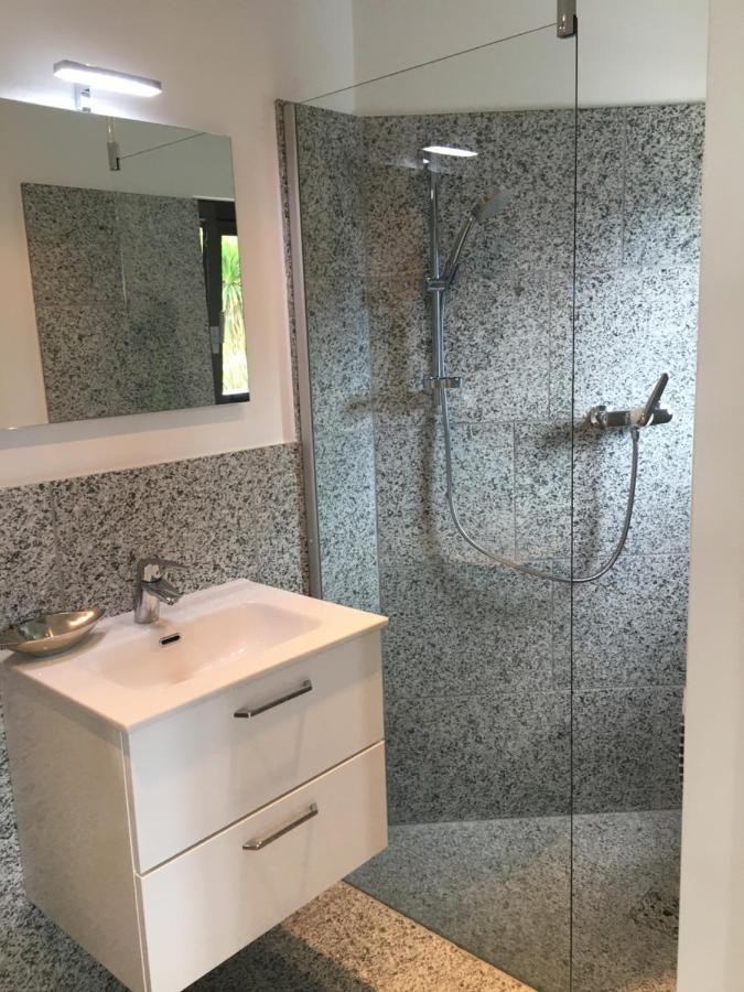 Rustico Resa: Brione Sopra Minusio Villa Exterior photo
